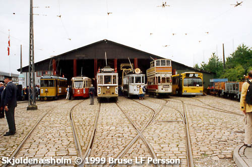 Skjoldensholm, Danmark: sprvg